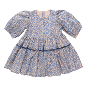 Pink Chicken girls maribelle dress - blue climbing floral