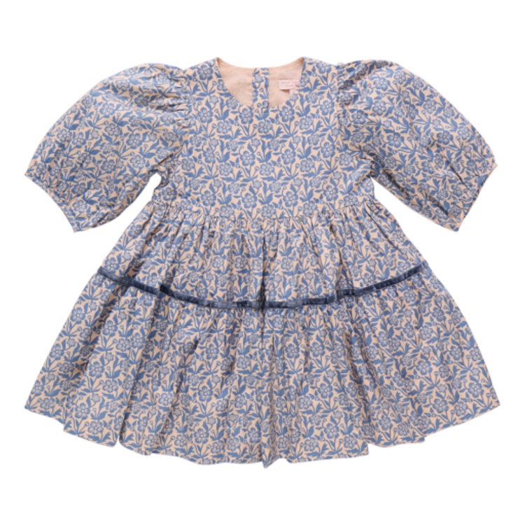 Pink Chicken girls maribelle dress - blue climbing floral