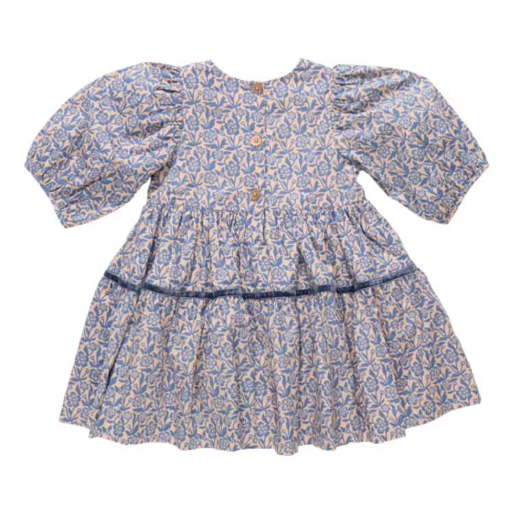 Pink Chicken girls maribelle dress - blue climbing floral