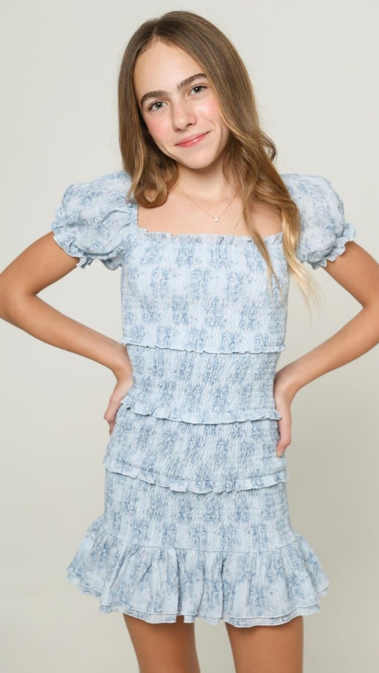 Blue Milou Mini Roses Dress