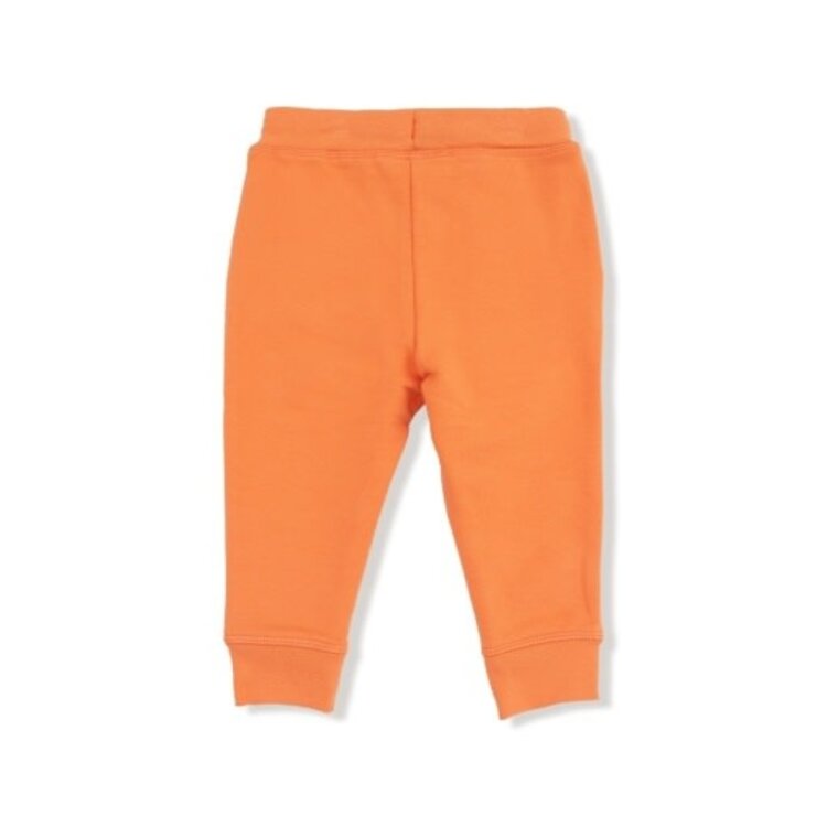 Angel Dear French Terry Sport - Varsity - Orange - Jogger Pant