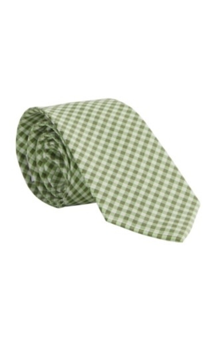 Little English Neck Tie - Watercress Gingham