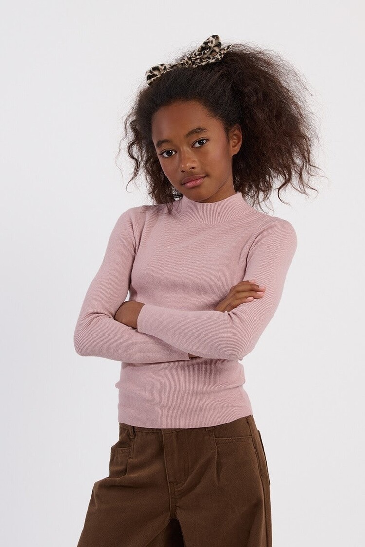 Molly Bracken Pink Turtleneck Sweater