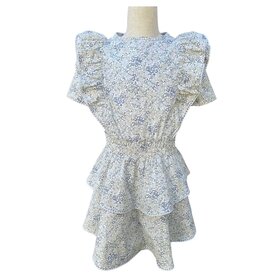 Pleat Grey Blooms Collier Dress
