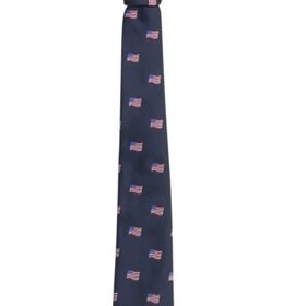 Little English Neck Tie - Americana