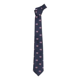 Little English Neck Tie - Americana