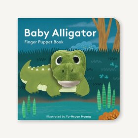 Baby Alligator