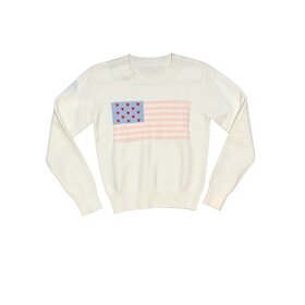 Theme Tiegan American Flag Sweater