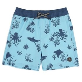 FEATHER 4 ARROW Volley Trunk
