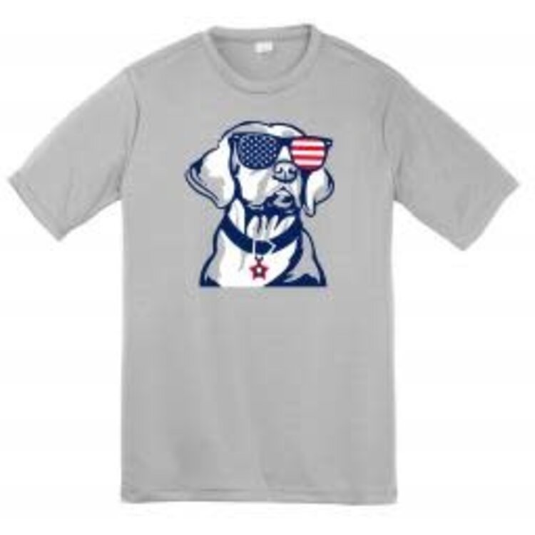 Azarhia Grey USA Lab Drifit Tee