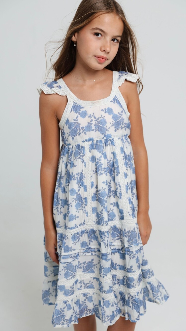 Blue Reverie Claret Dress