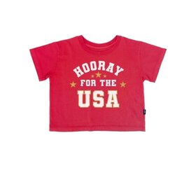 FEATHER 4 ARROW Hooray for the USA Boxy Tee