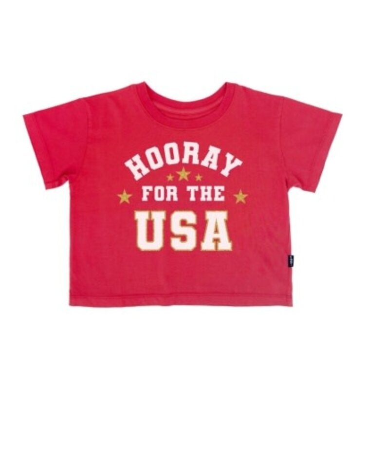 FEATHER 4 ARROW Hooray for the USA Boxy Tee