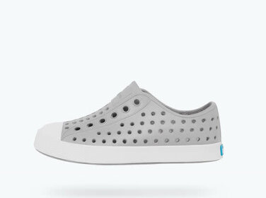 Native Jefferson Pigeon Grey