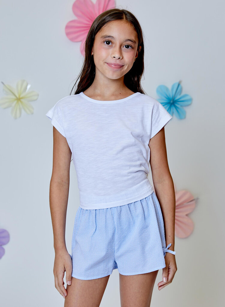 Design History Blue Seer Sucker Shorts
