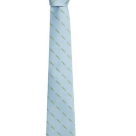 Little English Neck Tie - Alligator