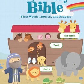 Say And Pray Bible