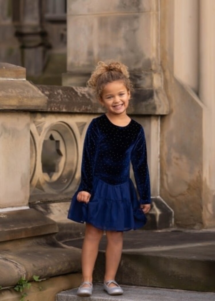 Mabel and Honey VELVET DREAMS DRESS