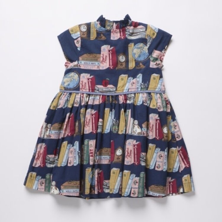 Pink Chicken Bookshelf Fatima Dress