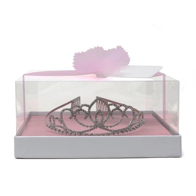 Child to Cherish Taylor's Silver Rhinestone Tiara