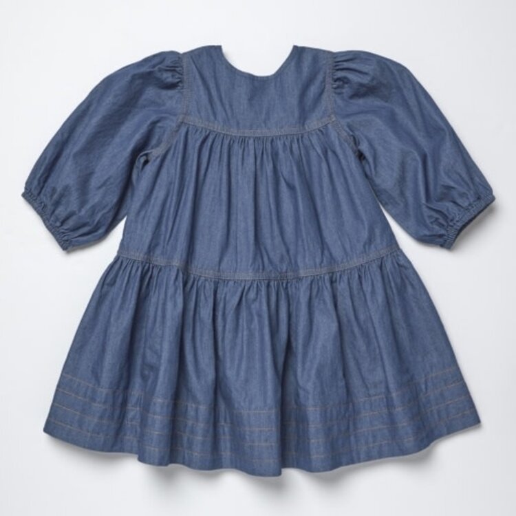 Pink Chicken Chambray Sawyer Dress