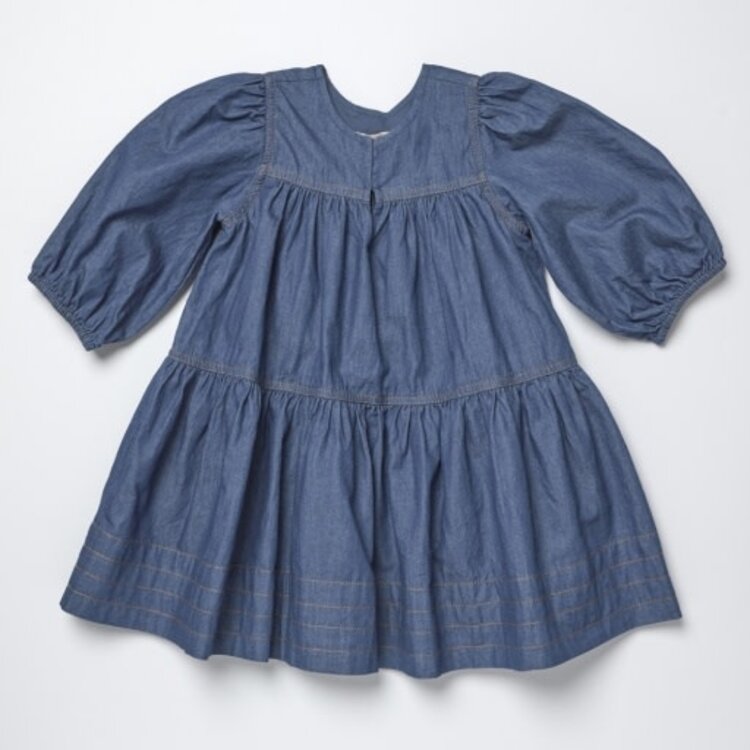 Pink Chicken Chambray Sawyer Dress