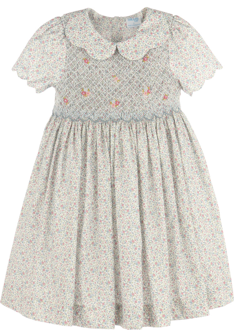 Luli&Me Blue Fall Blossom Smock Dress