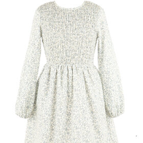 Gabby Blue Floral Sophie Shirred Dress
