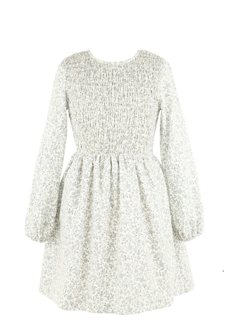 Gabby Blue Floral Sophie Shirred Dress