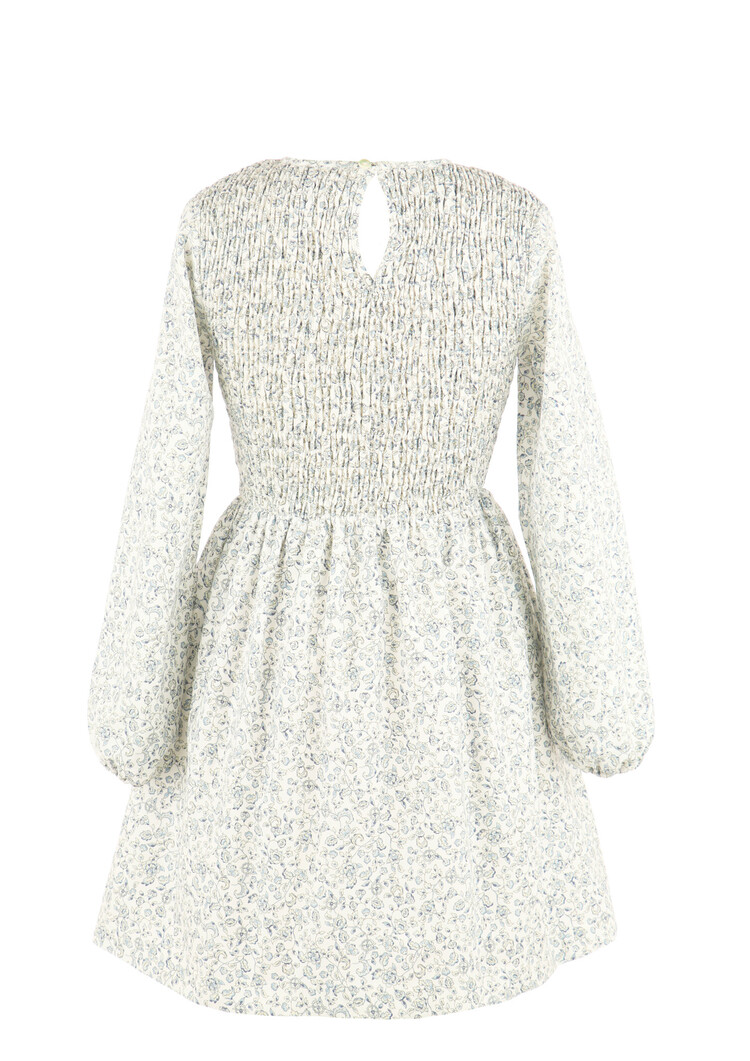 Gabby Blue Floral Sophie Shirred Dress