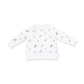 Angel Dear Dinos French Terry - Raglan Sweatshirt