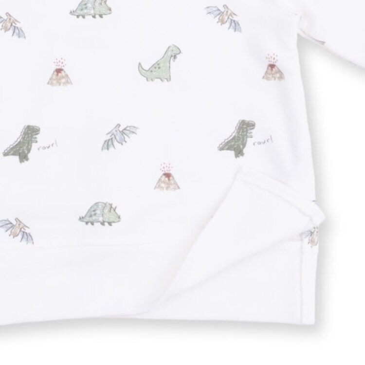 Angel Dear Dinos French Terry - Raglan Sweatshirt