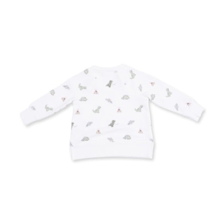 Angel Dear Dinos French Terry - Raglan Sweatshirt