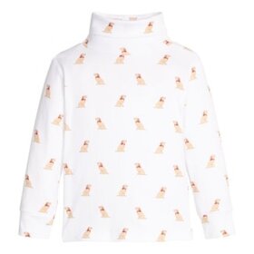 Little English Printed Turtleneck Seated Labs