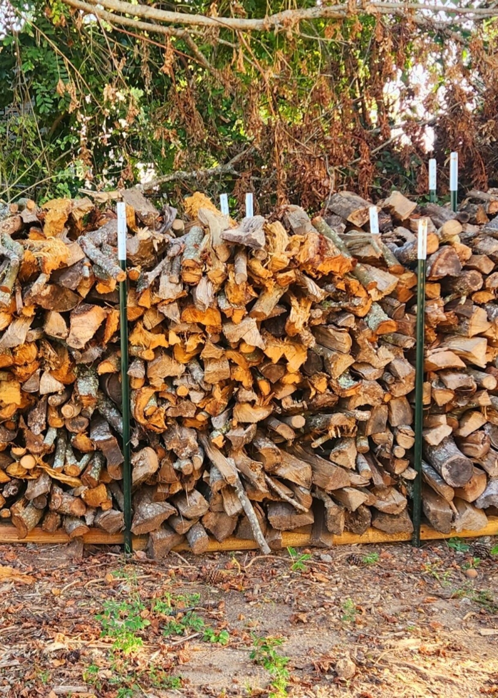 Face Cord Firewood