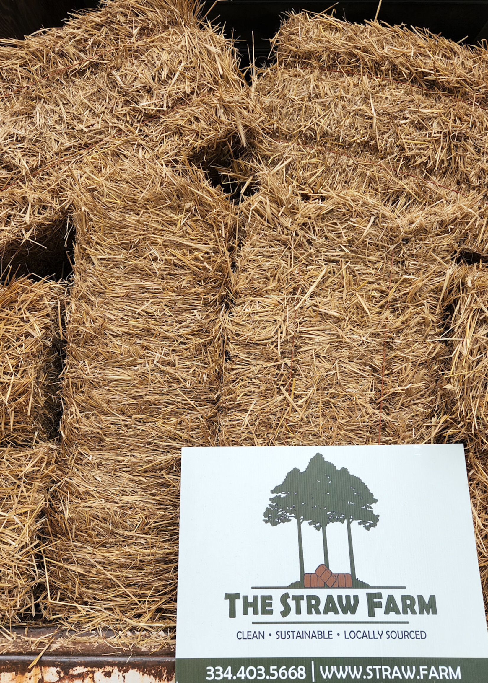 Wheat Straw