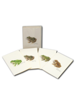 Earth Sky Water Frog & Toad Assortment