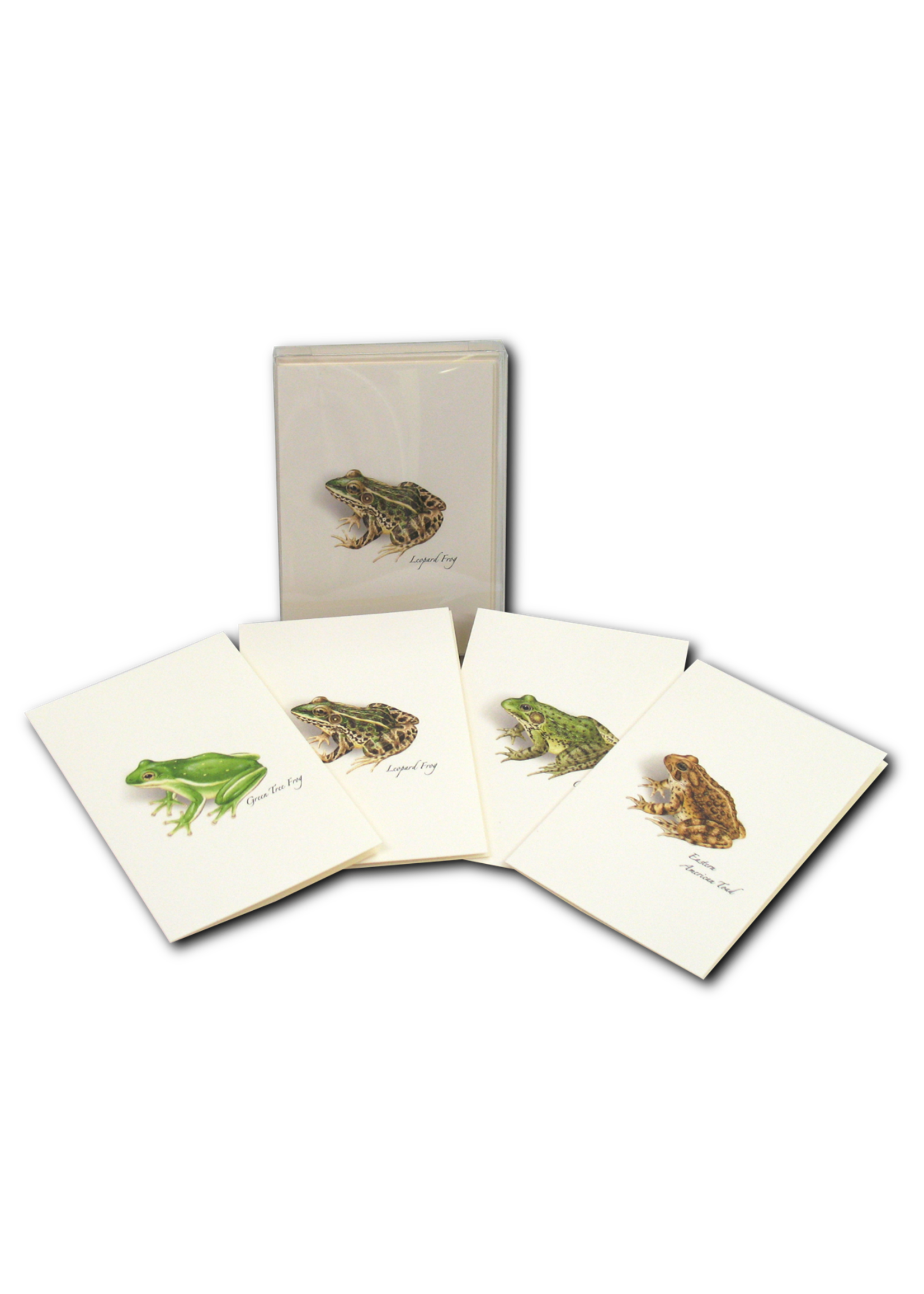 Earth Sky Water Frog & Toad Assortment