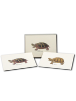 Earth Sky Water Freshwater Turtle Assortment