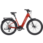 E-BIKES