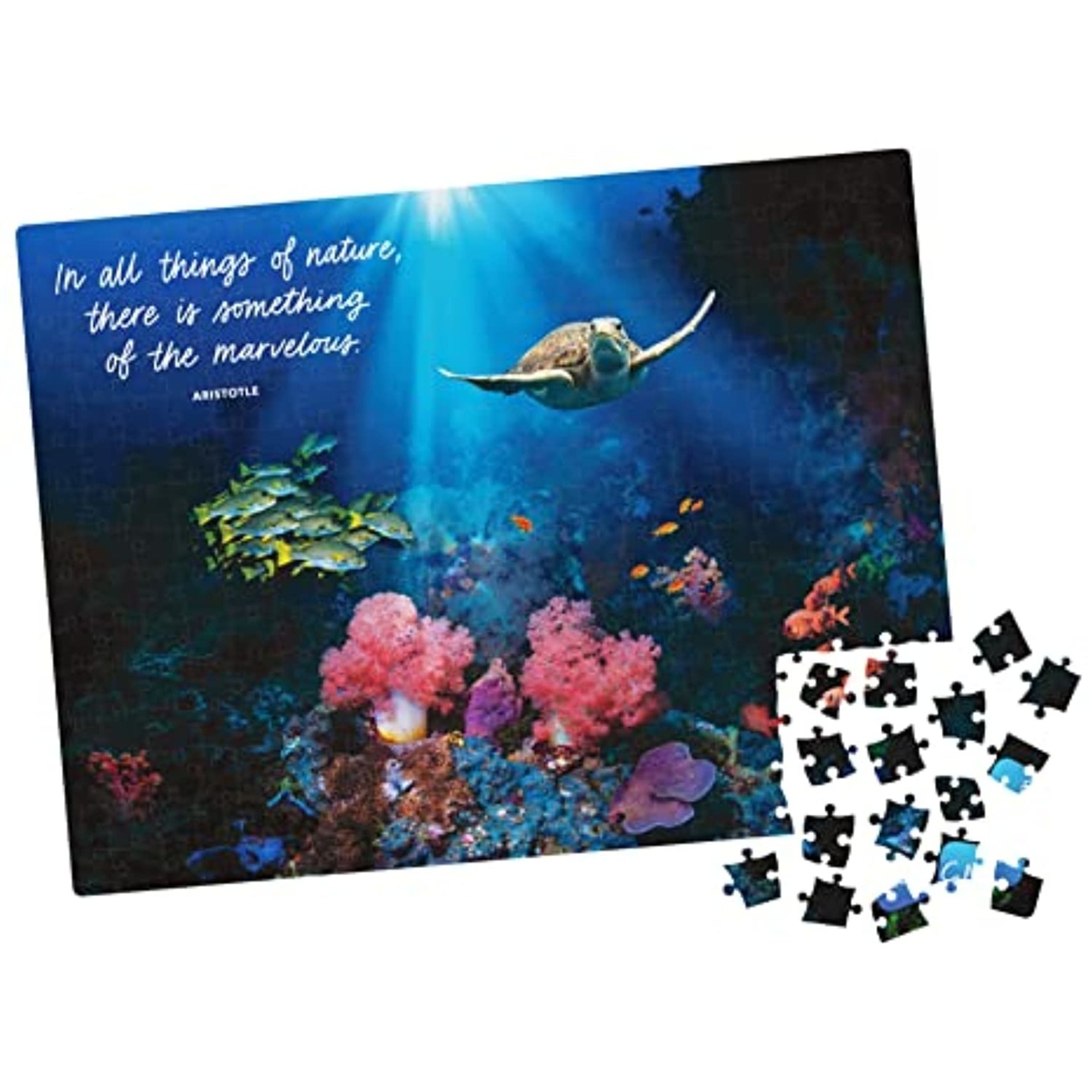 Spin Master Calm Coral Jigsaw Puzzle - 300pc