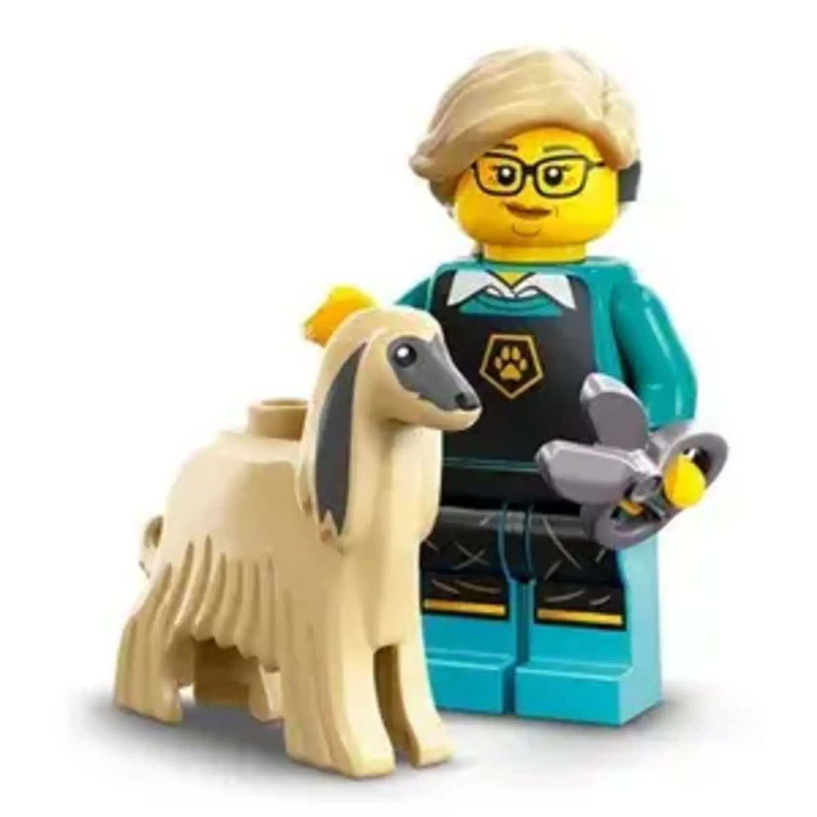 LEGO LEGO Minifigures Series 25 71045 - Pet Groomer