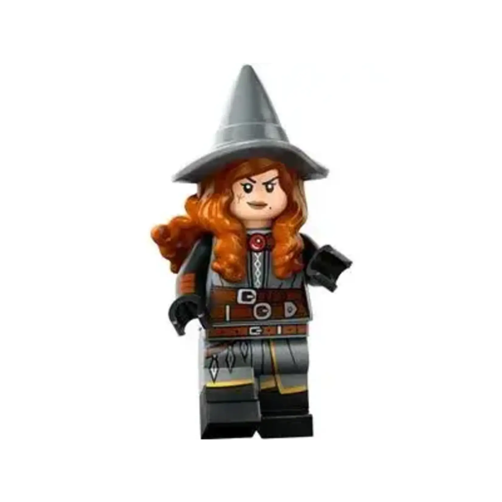 LEGO LEGO Dungeons & Dragons Minifigures 71047 Tasha the Witch Queen