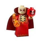 LEGO LEGO Dungeons & Dragons Minifigures 71047 Szass Tam