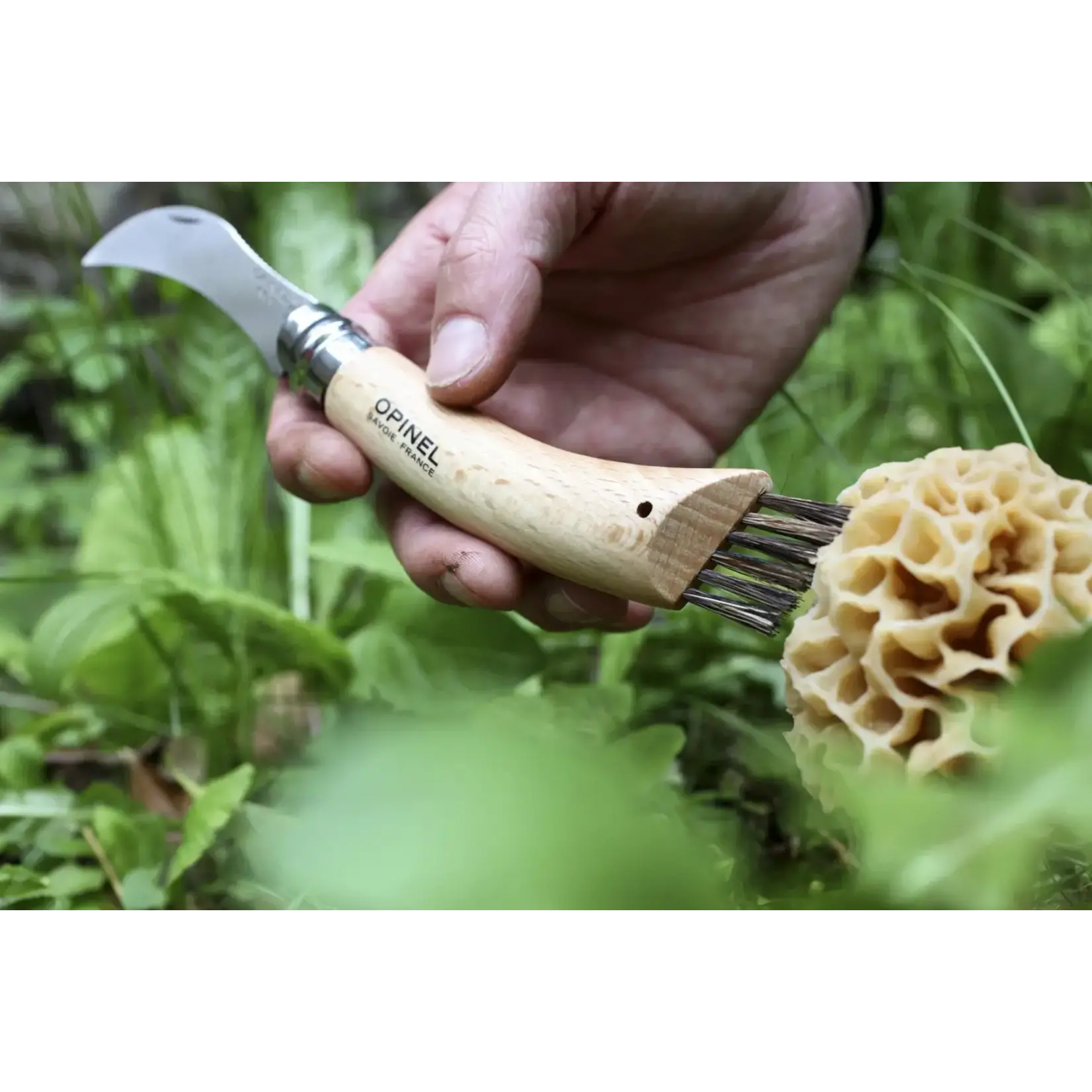 Opinel No.08 Mushroom Knife with Brush