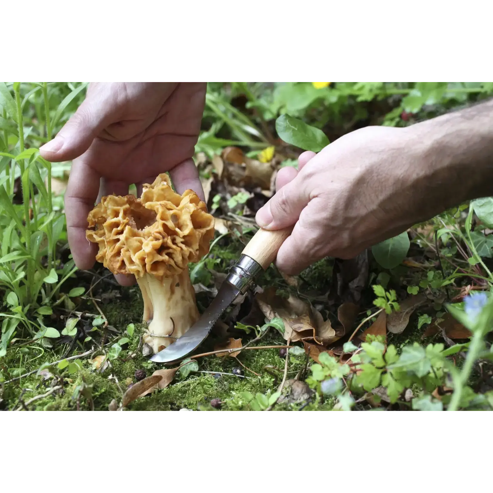 No.08 Mushroom Knife with Brush