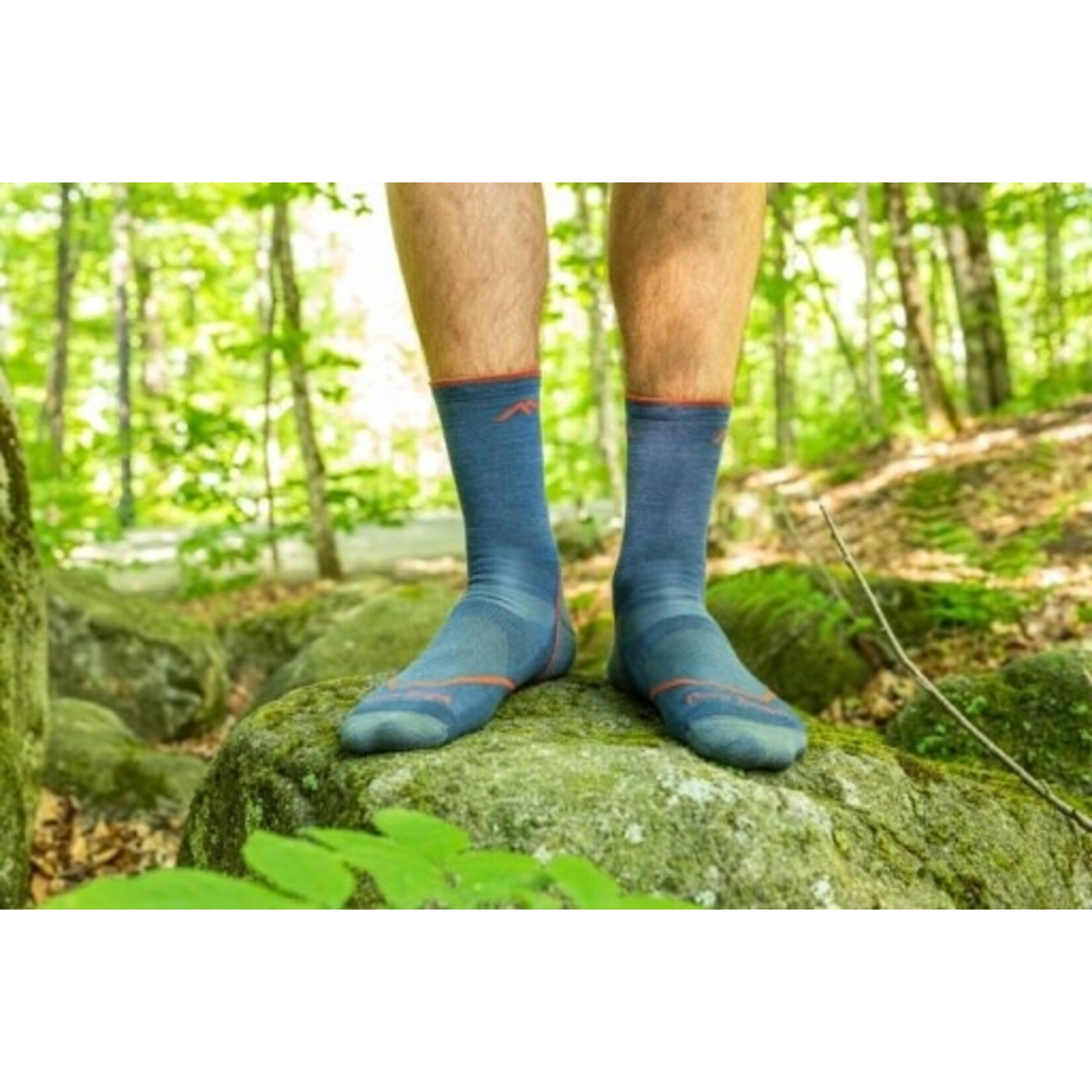 Darn Tough Vermont LIGHT HIKER MICRO CREW LIGHTWEIGHT WITH CUSHION