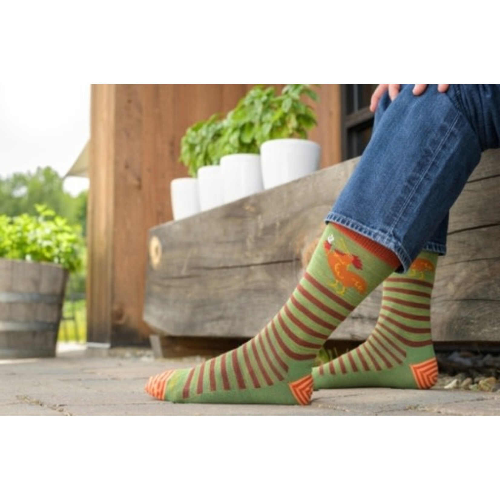 ANIMAL HAUS CREW LIGHTWEIGHT