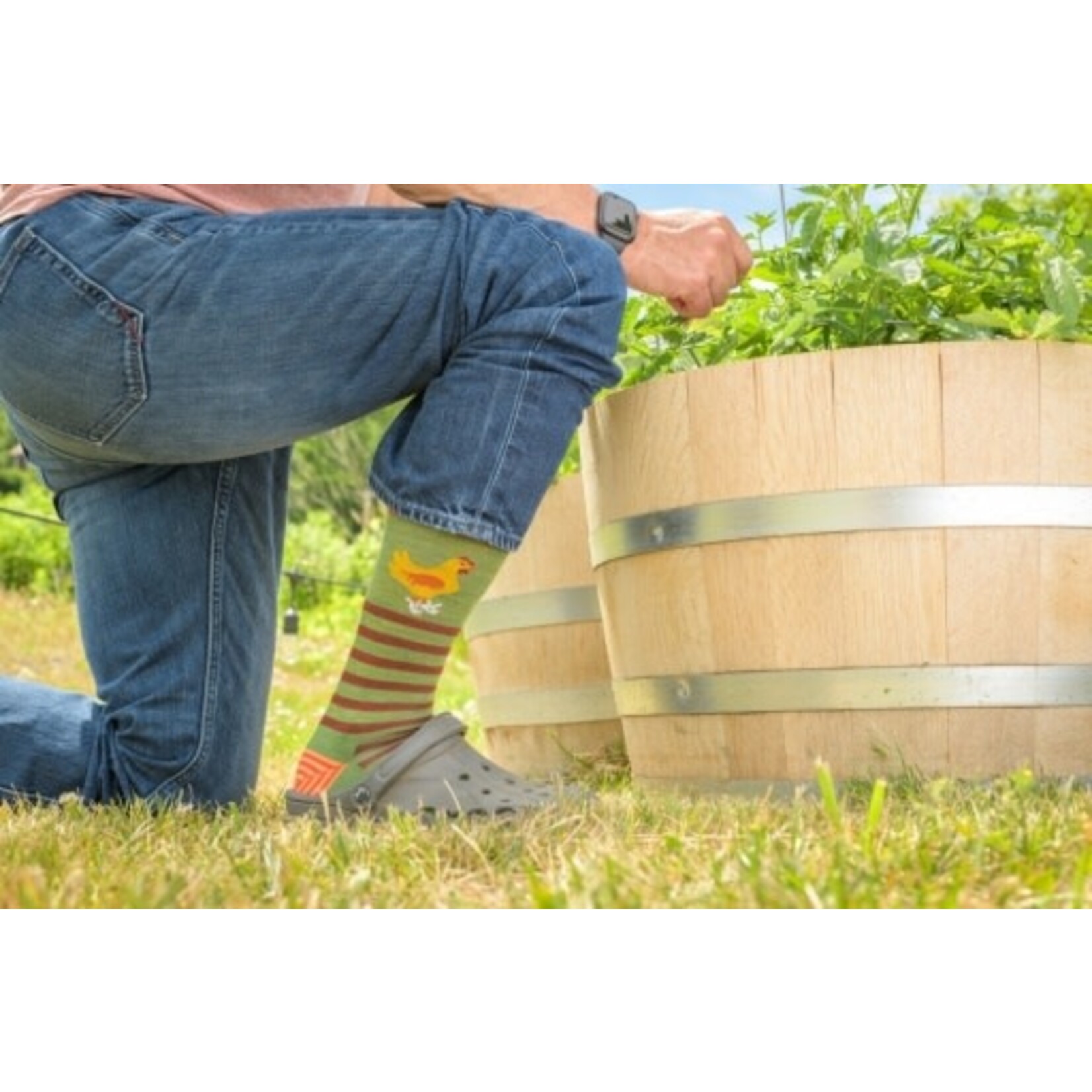 ANIMAL HAUS CREW LIGHTWEIGHT