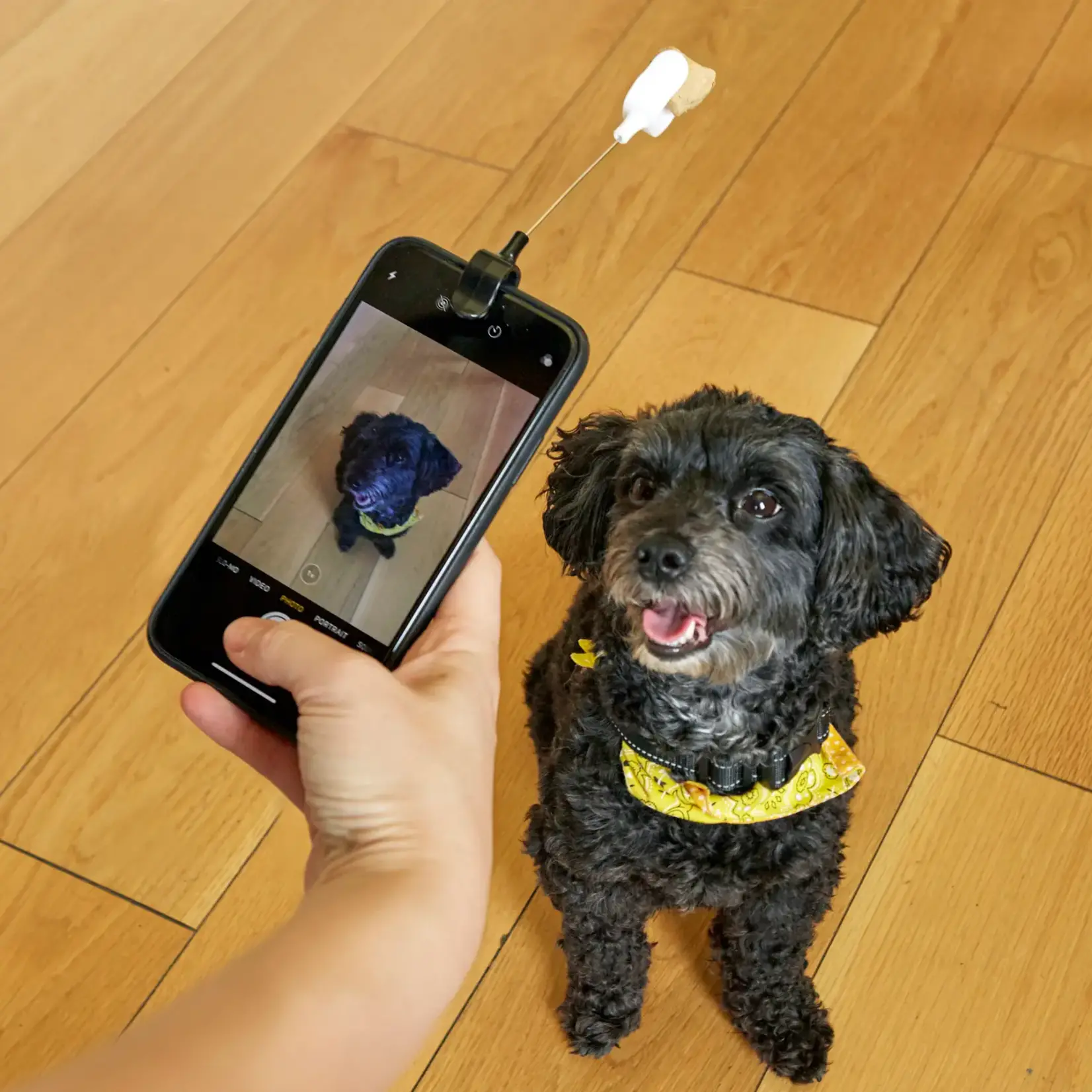 Dog Treat Selfie Clip